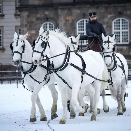 Appartamento Designer 2 Bedroom With Private Balcony Copenaghen