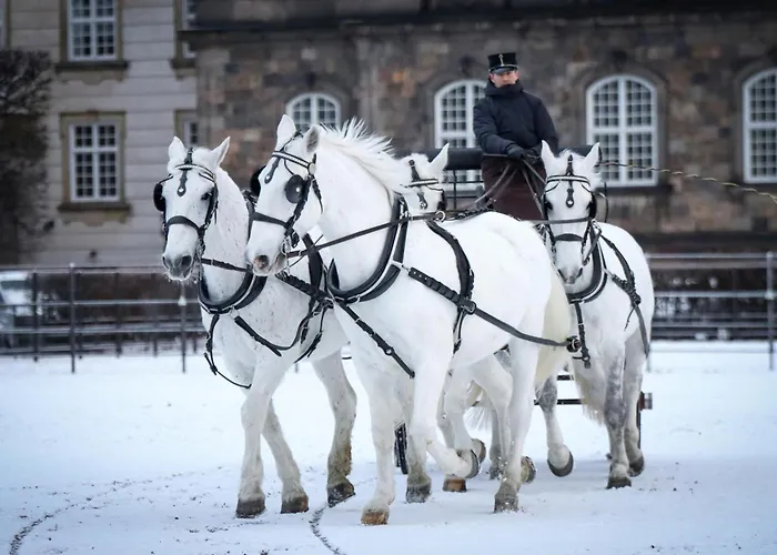 Apartment Designer 2 Bedroom With Private Balcony Kopenhagen